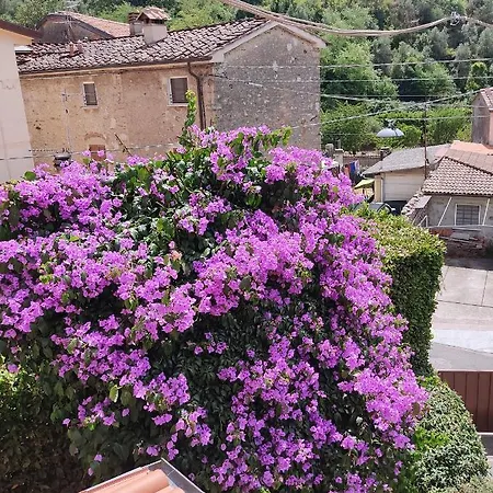 Apartmán La Bouganville E Il Gelsomino