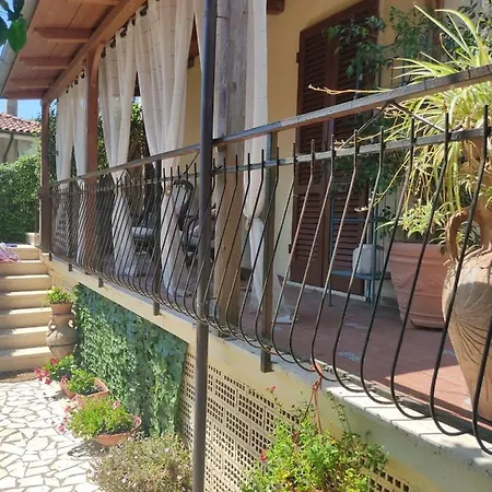 La Bouganville E Il Gelsomino