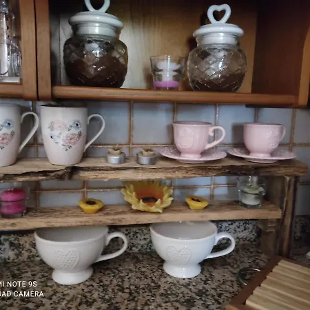 La Bouganville E Il Gelsomino Pietrasanta