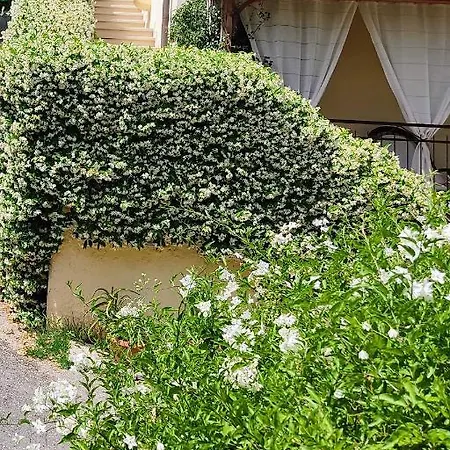 La Bouganville E Il Gelsomino דירה פיאטרה סנטה