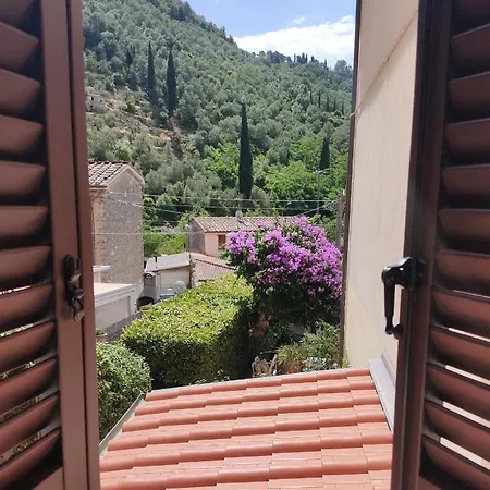 La Bouganville E Il Gelsomino *