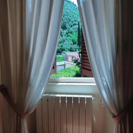 La Bouganville E Il Gelsomino *
