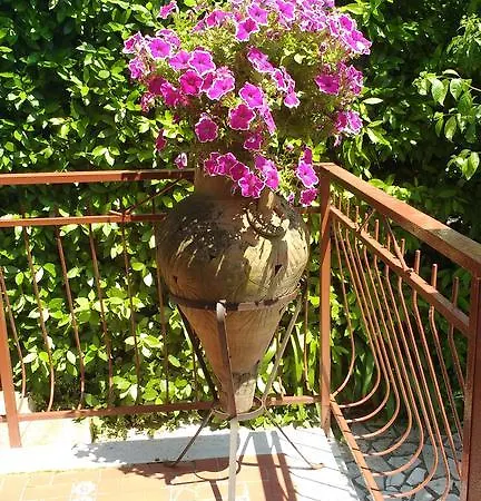 La Bouganville E Il Gelsomino